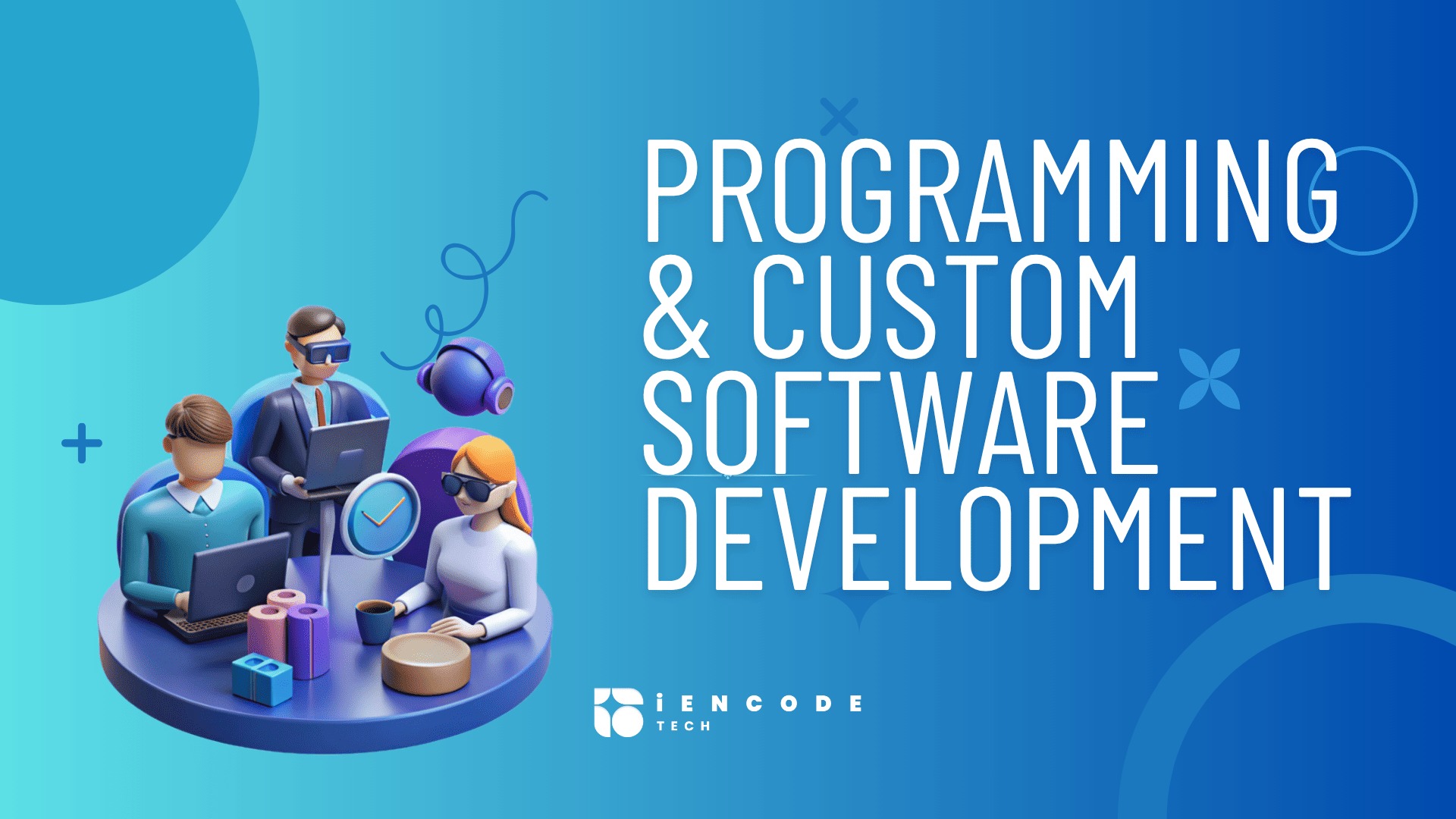 Custom software development code and interface