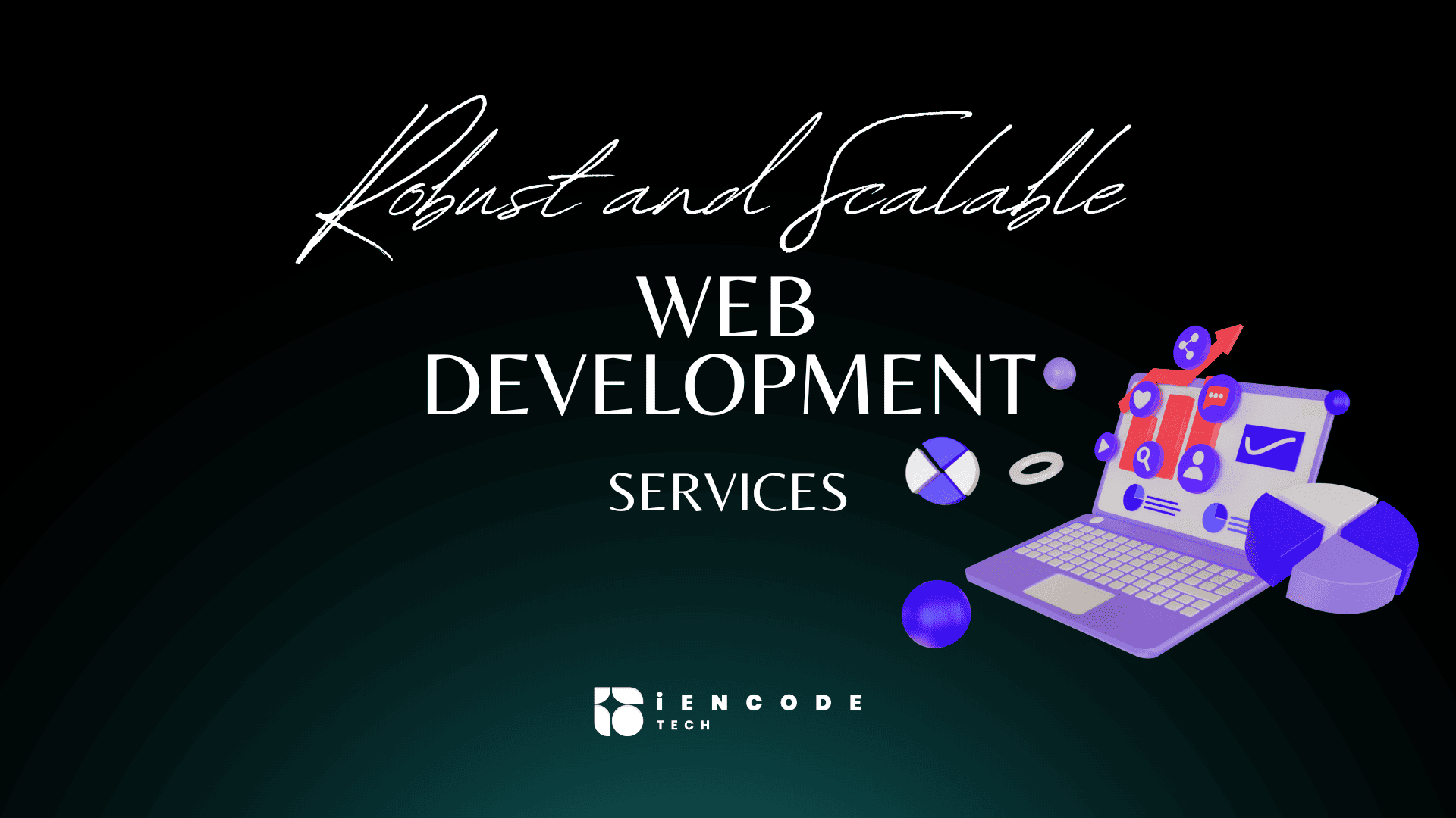 Custom software development code and interface